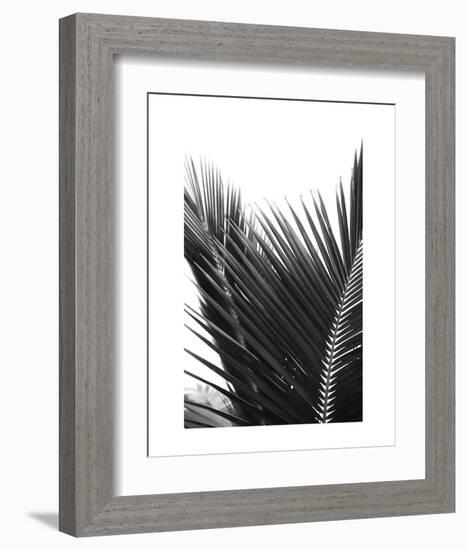 Palms 12-Jamie Kingham-Framed Art Print