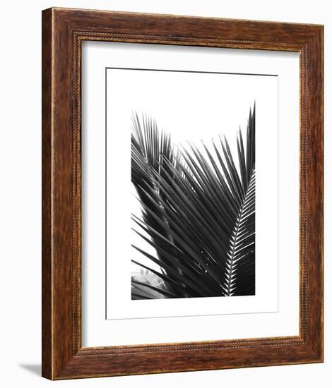 Palms 12-Jamie Kingham-Framed Art Print