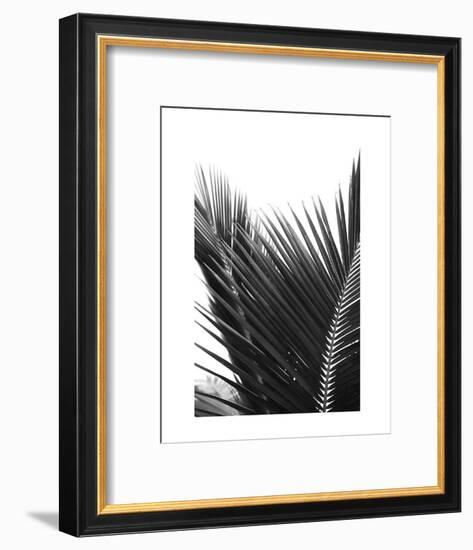 Palms 12-Jamie Kingham-Framed Art Print