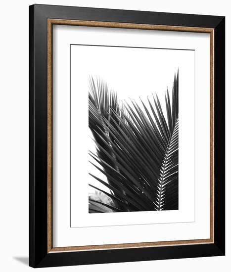 Palms 12-Jamie Kingham-Framed Art Print