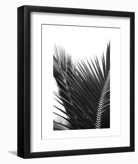 Palms 12-Jamie Kingham-Framed Art Print