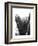 Palms 12-Jamie Kingham-Framed Art Print