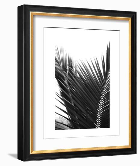 Palms 12-Jamie Kingham-Framed Art Print