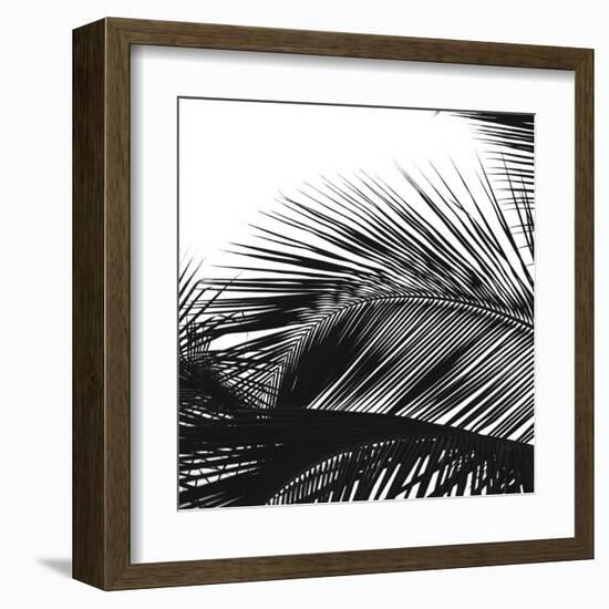 Palms 13 (detail)-Jamie Kingham-Framed Art Print