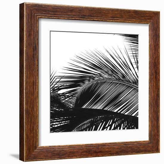 Palms 13 (detail)-Jamie Kingham-Framed Art Print