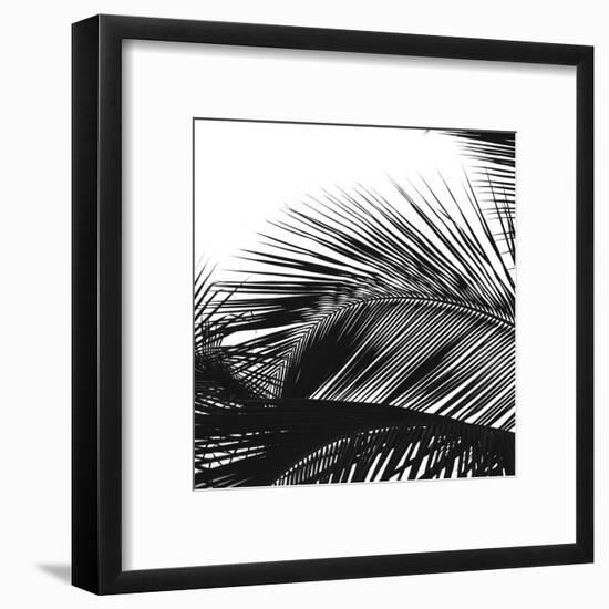 Palms 13 (detail)-Jamie Kingham-Framed Art Print