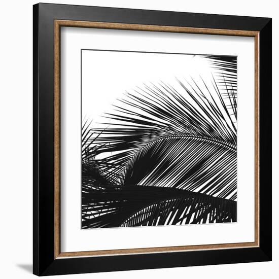 Palms 13 (detail)-Jamie Kingham-Framed Art Print