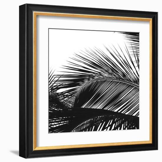 Palms 13 (detail)-Jamie Kingham-Framed Art Print