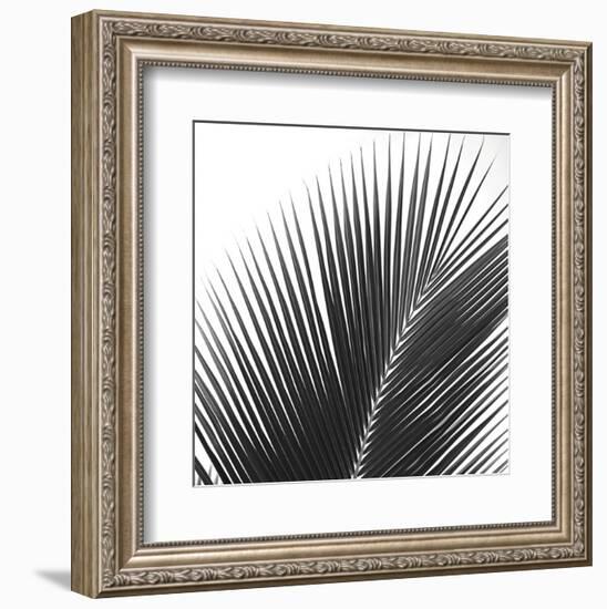 Palms 14 (detail)-Jamie Kingham-Framed Art Print