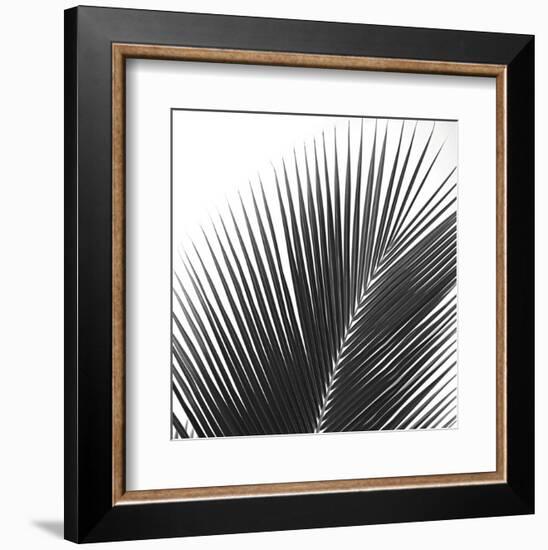 Palms 14 (detail)-Jamie Kingham-Framed Art Print