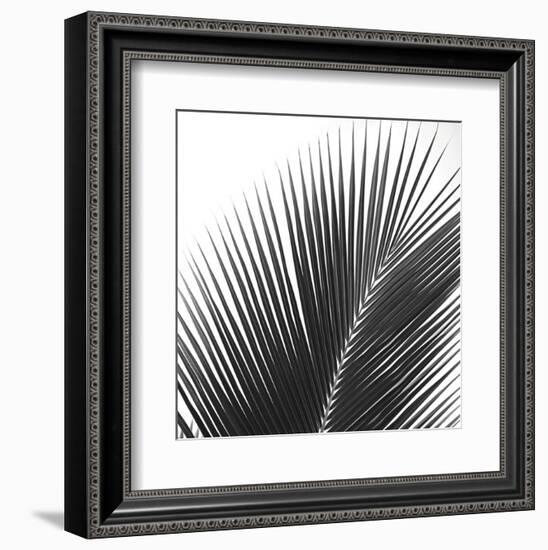 Palms 14 (detail)-Jamie Kingham-Framed Art Print