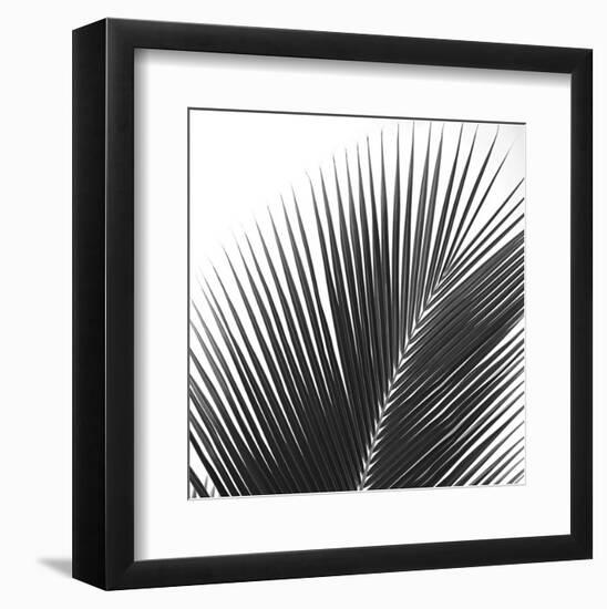 Palms 14 (detail)-Jamie Kingham-Framed Art Print