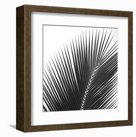 Palms 14 (detail)-Jamie Kingham-Framed Art Print