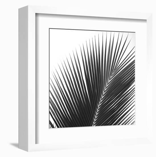 Palms 14 (detail)-Jamie Kingham-Framed Art Print