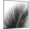Palms 14 (detail)-Jamie Kingham-Mounted Art Print