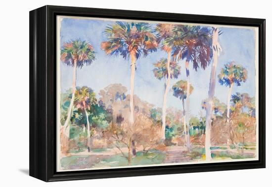 Palms, 1917 (W/C over Graphite on Paper)-John Singer Sargent-Framed Premier Image Canvas