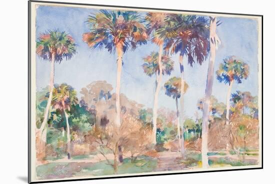 Palms, 1917 (W/C over Graphite on Paper)-John Singer Sargent-Mounted Giclee Print