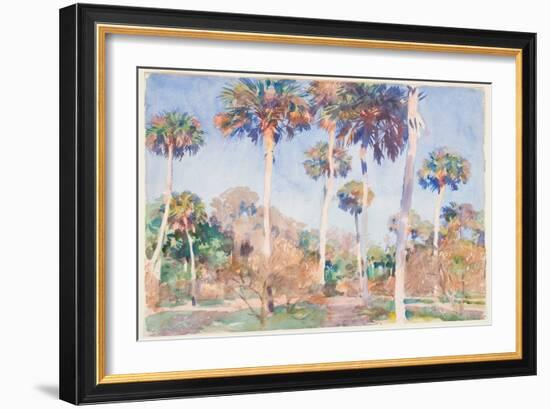 Palms, 1917 (W/C over Graphite on Paper)-John Singer Sargent-Framed Giclee Print