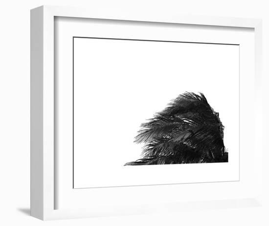 Palms 1-Jamie Kingham-Framed Art Print