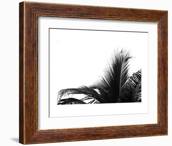 Palms 2-Jamie Kingham-Framed Art Print