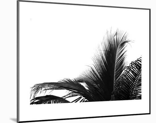 Palms 2-Jamie Kingham-Mounted Art Print