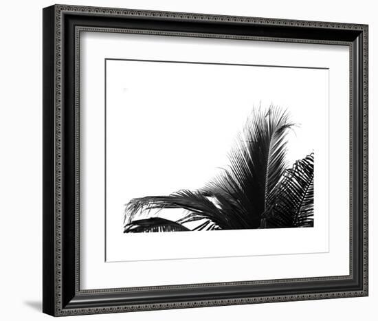 Palms 2-Jamie Kingham-Framed Art Print