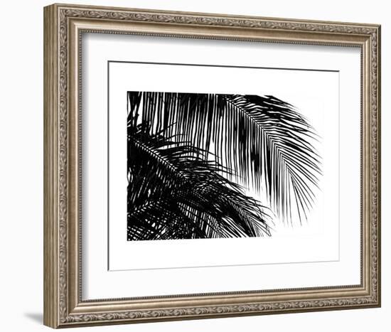 Palms 3-Jamie Kingham-Framed Art Print