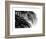 Palms 3-Jamie Kingham-Framed Art Print