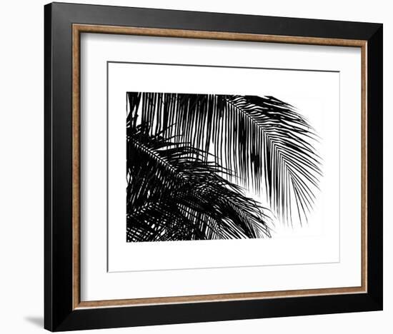 Palms 3-Jamie Kingham-Framed Art Print