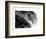 Palms 3-Jamie Kingham-Framed Art Print