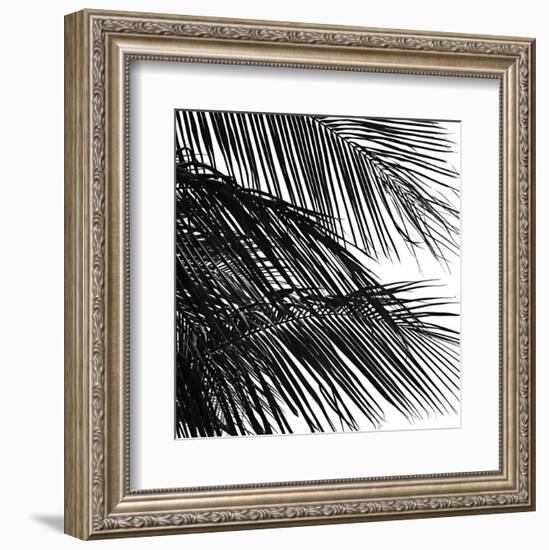 Palms 4 (detail)-Jamie Kingham-Framed Art Print
