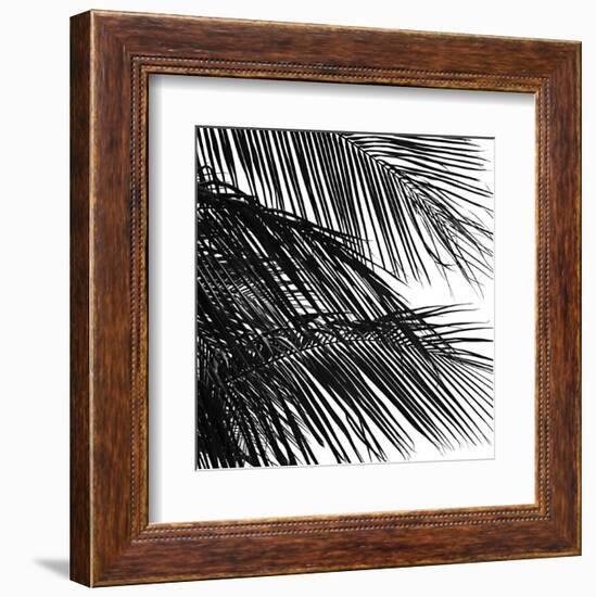 Palms 4 (detail)-Jamie Kingham-Framed Art Print