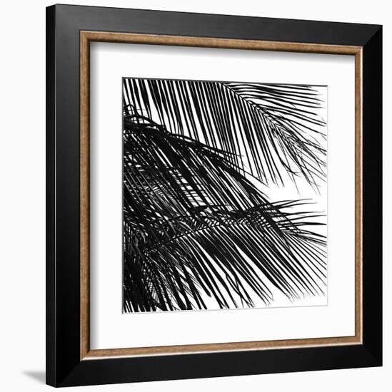 Palms 4 (detail)-Jamie Kingham-Framed Art Print