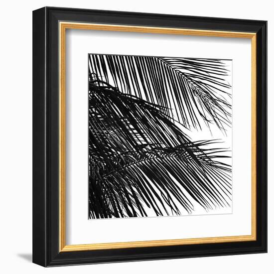 Palms 4 (detail)-Jamie Kingham-Framed Art Print