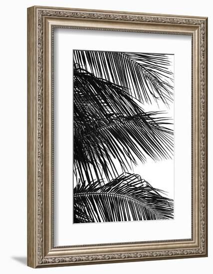 Palms 4-Jamie Kingham-Framed Art Print