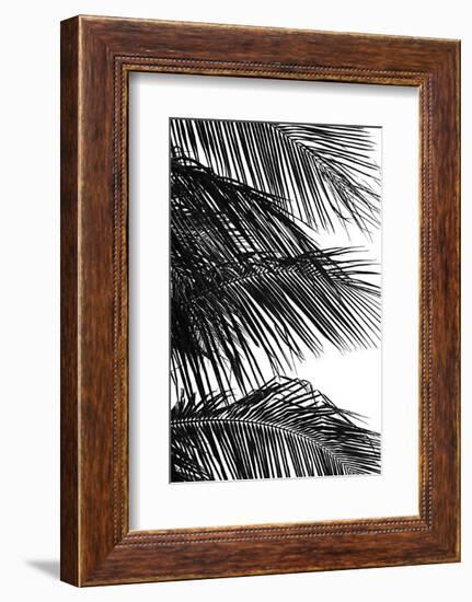 Palms 4-Jamie Kingham-Framed Art Print