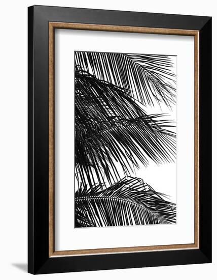 Palms 4-Jamie Kingham-Framed Art Print