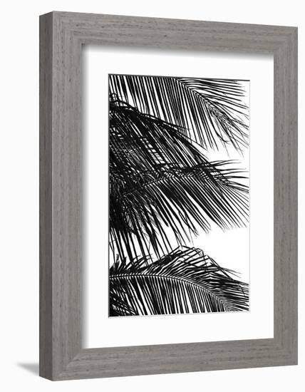 Palms 4-Jamie Kingham-Framed Art Print