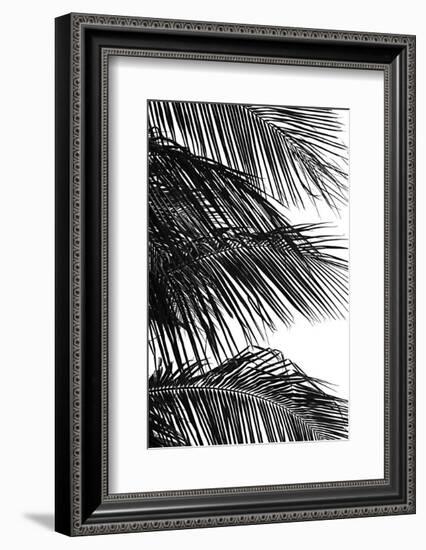 Palms 4-Jamie Kingham-Framed Art Print