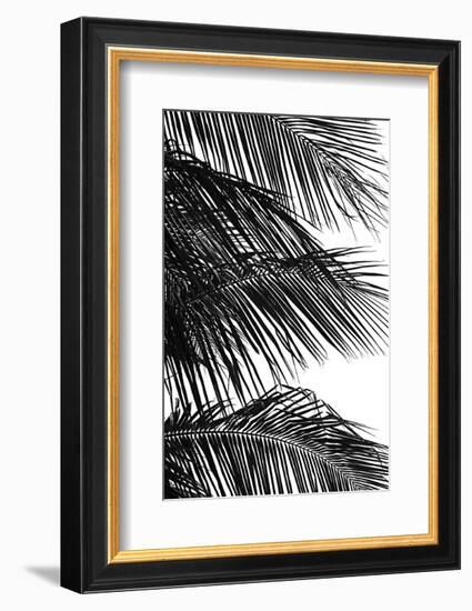 Palms 4-Jamie Kingham-Framed Art Print