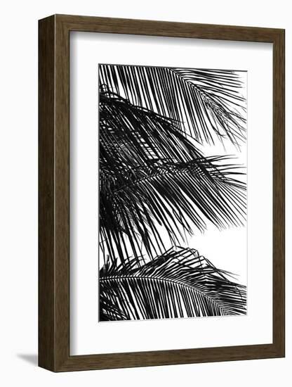 Palms 4-Jamie Kingham-Framed Art Print