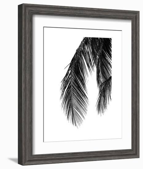 Palms 5-Jamie Kingham-Framed Art Print