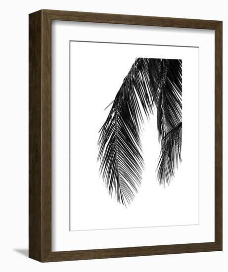 Palms 5-Jamie Kingham-Framed Art Print