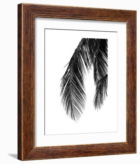 Palms 5-Jamie Kingham-Framed Art Print