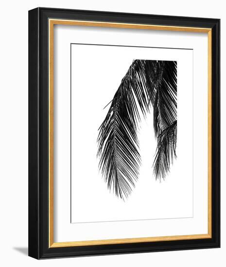 Palms 5-Jamie Kingham-Framed Art Print