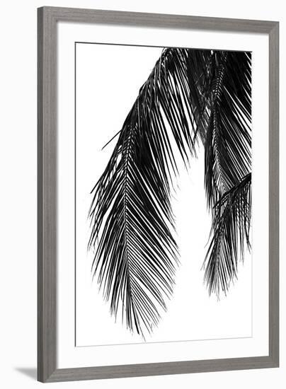 Palms 5-Jamie Kingham-Framed Art Print