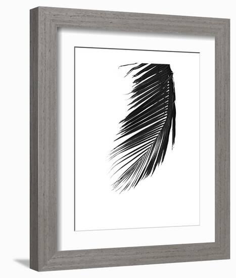 Palms 8-Jamie Kingham-Framed Art Print