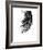 Palms 8-Jamie Kingham-Framed Art Print