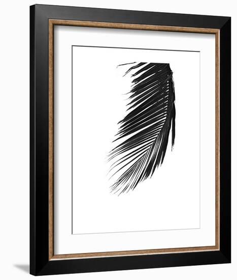 Palms 8-Jamie Kingham-Framed Art Print