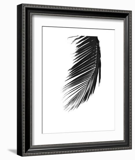 Palms 8-Jamie Kingham-Framed Art Print